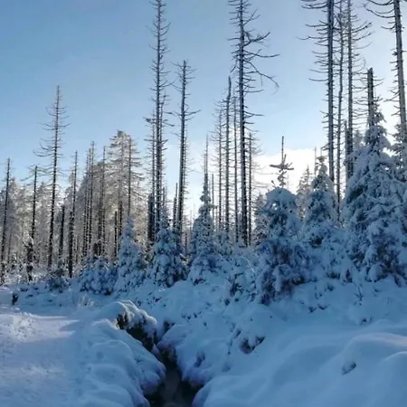Haus Bindseil - Im Og, Links Apartment *