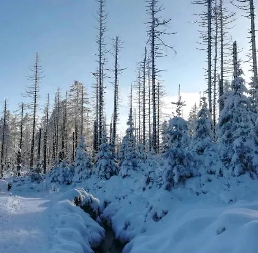 Haus Bindseil - Im Og, Links Апартаменты *