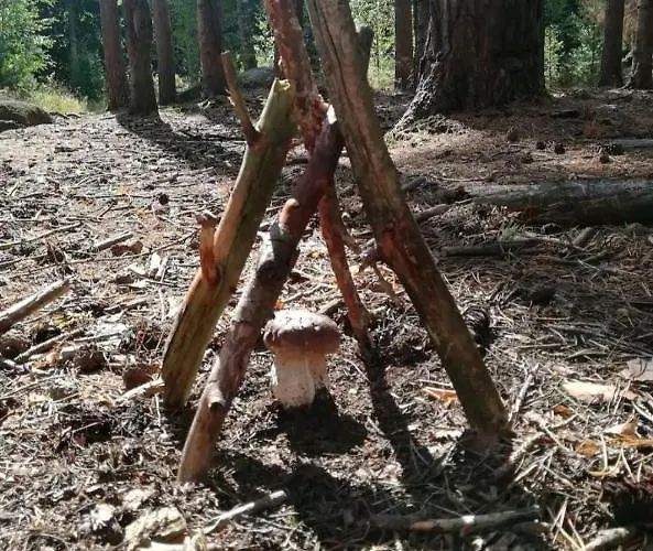 Haus Bindseil - Im Og, Links * אלטנאו