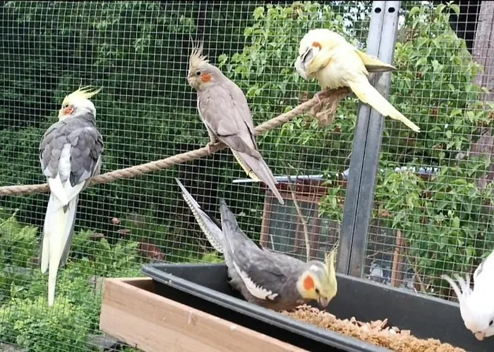 Апартаменты Haus Bindseil - Im Og, Links Альтенау